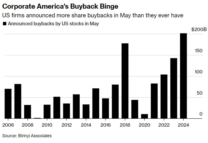 BlackRock US Large Company Stocks Fund: A Comprehensive Guide